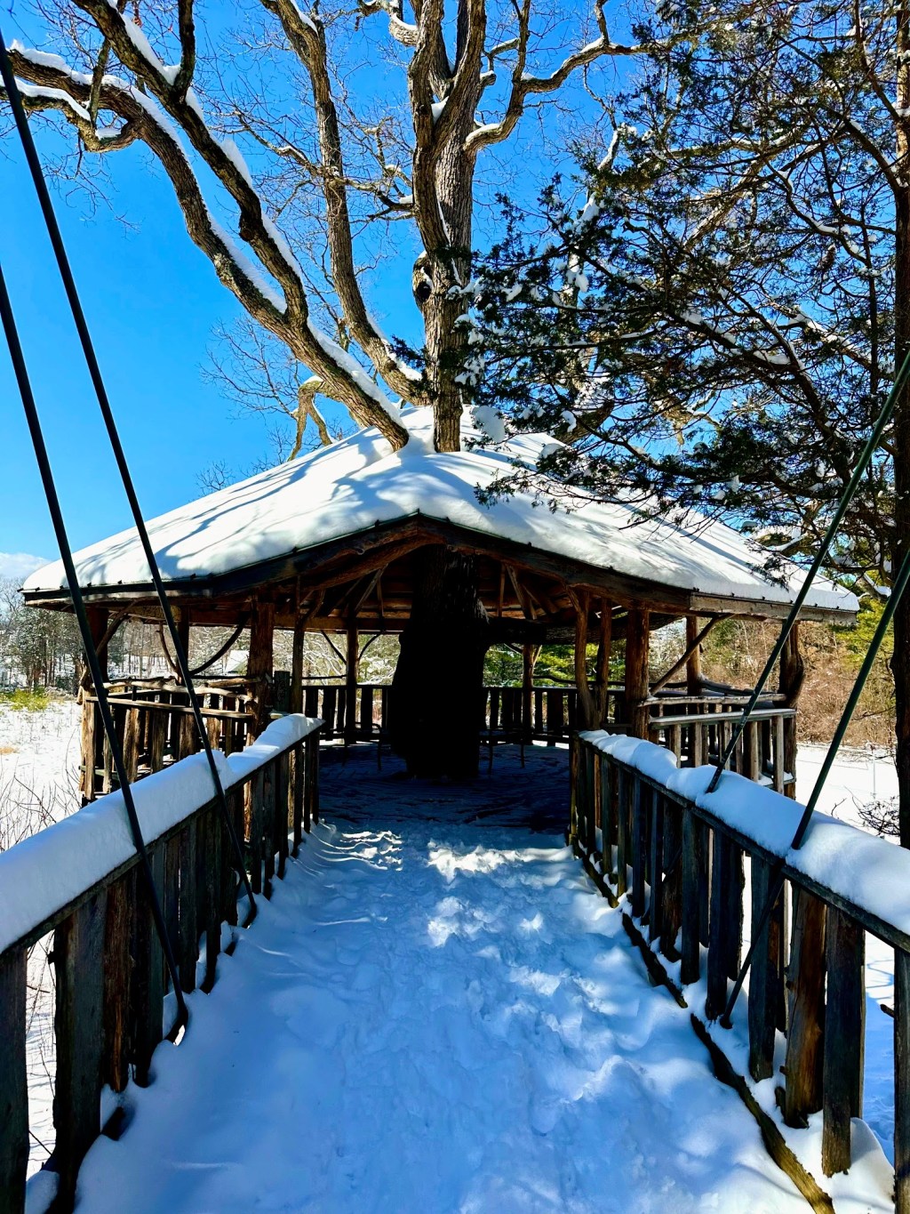 March 22-24, 2024: Canadian Darlings & Vermont&nbsp;Gravity