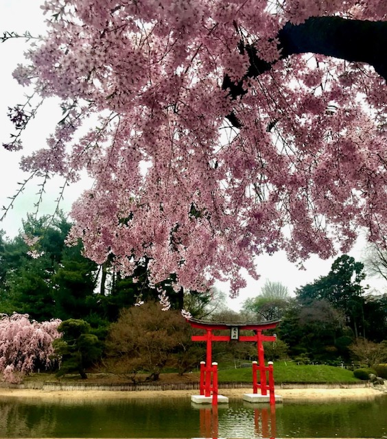 6 Stunning Places to Check Out This&nbsp;Spring